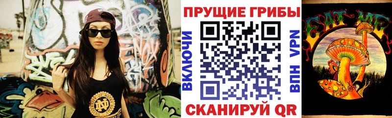 закладки  Сафоново  Псилоцибиновые грибы прущие грибы 