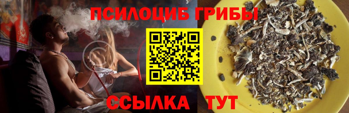 Сафоново  где найти наркотики  Вход с VPN  Псилоцибиновые грибы Psilocybine cubensis  Галлюциногенные грибы Psilocybine cubensis 