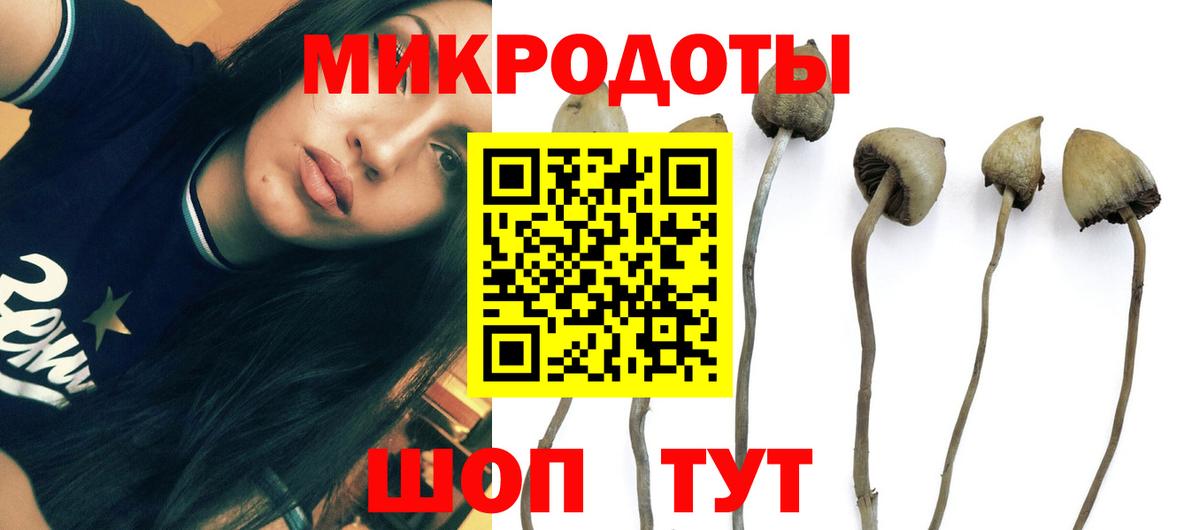 Галлюциногенные грибы GOLDEN TEACHER Сафоново